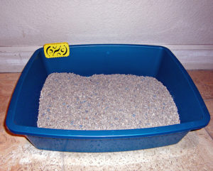 in-use-litter-box6